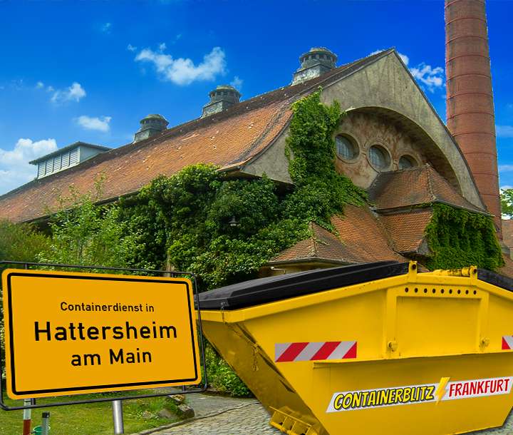Containerdienst in Hattersheim am Main